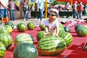 每日大赛吃瓜网入口,揭秘娱乐圈幕后风云，带你畅游八卦海洋