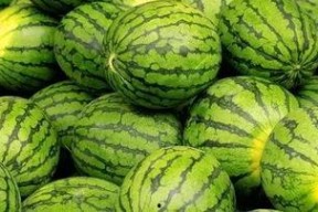 每日大赛在线吃瓜入口,在线吃瓜入口，揭秘精彩瞬间