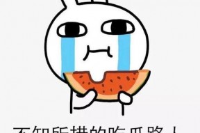 娱乐圈摆烂吃瓜动漫